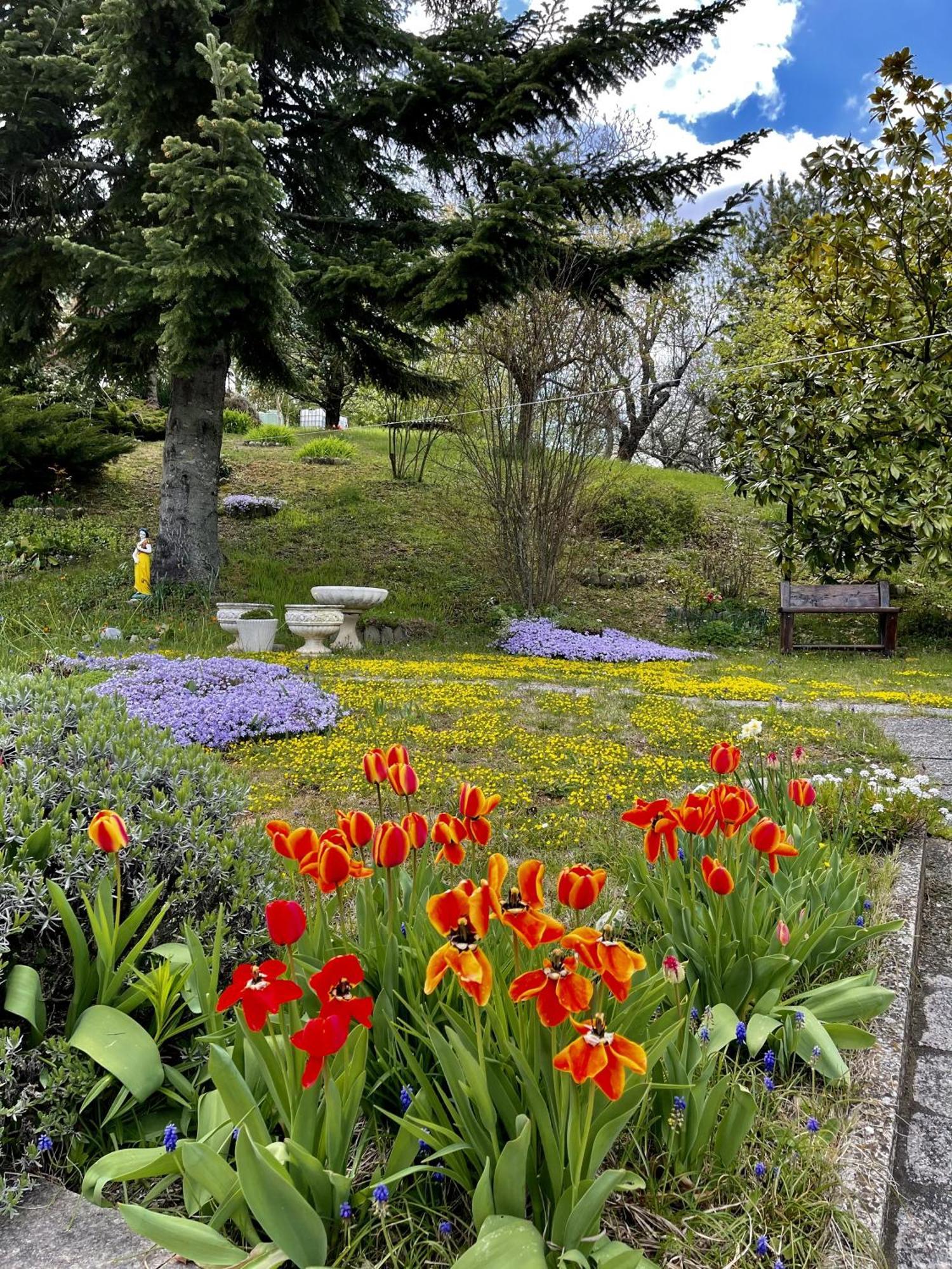Mazzetti Country House-Vita In Campagna Con Giardino Vimignano-Chiesa Exterior foto