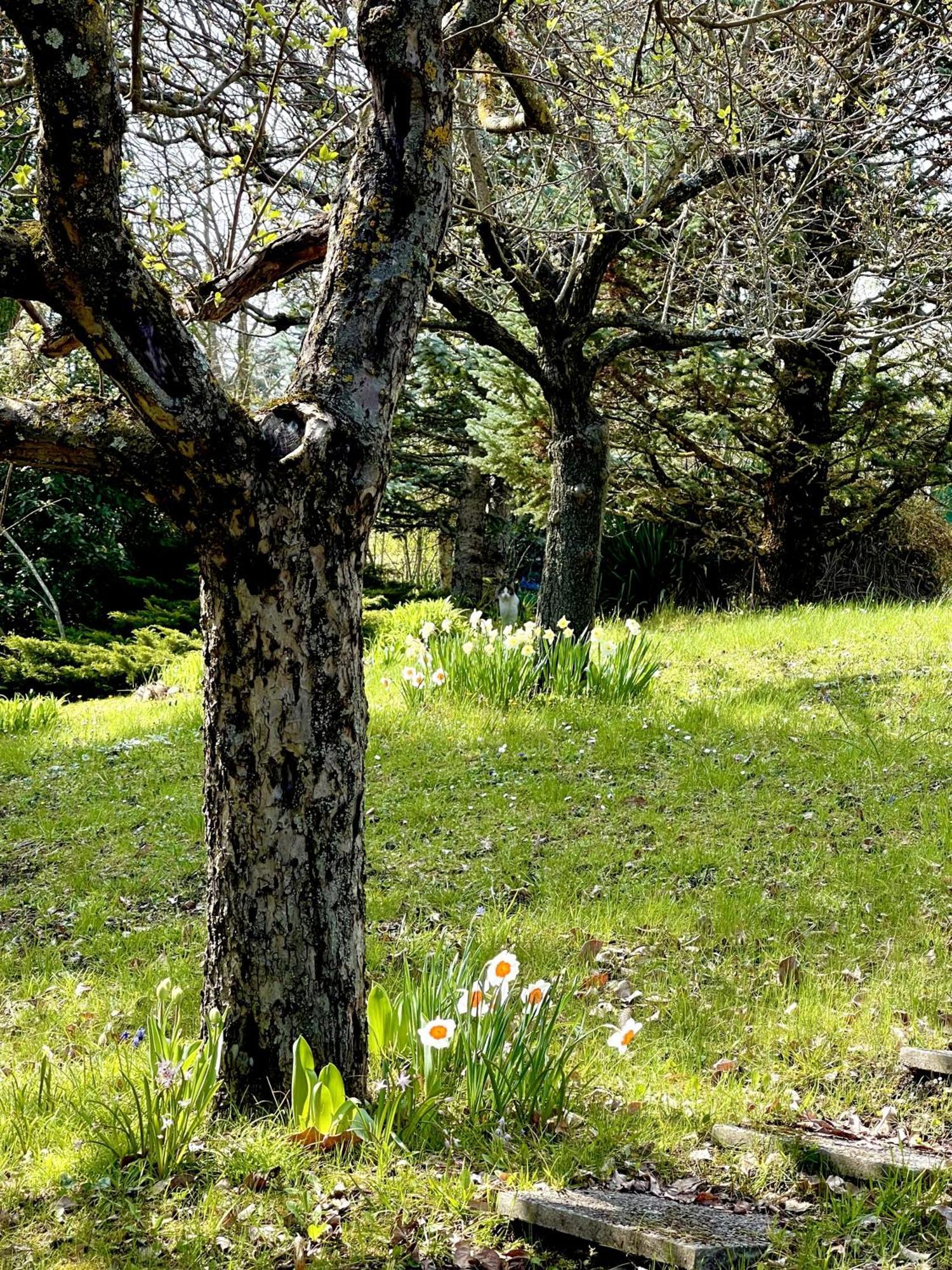 Mazzetti Country House-Vita In Campagna Con Giardino Vimignano-Chiesa Exterior foto