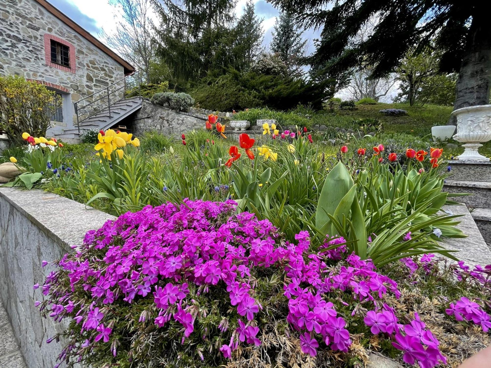 Mazzetti Country House-Vita In Campagna Con Giardino Vimignano-Chiesa Exterior foto