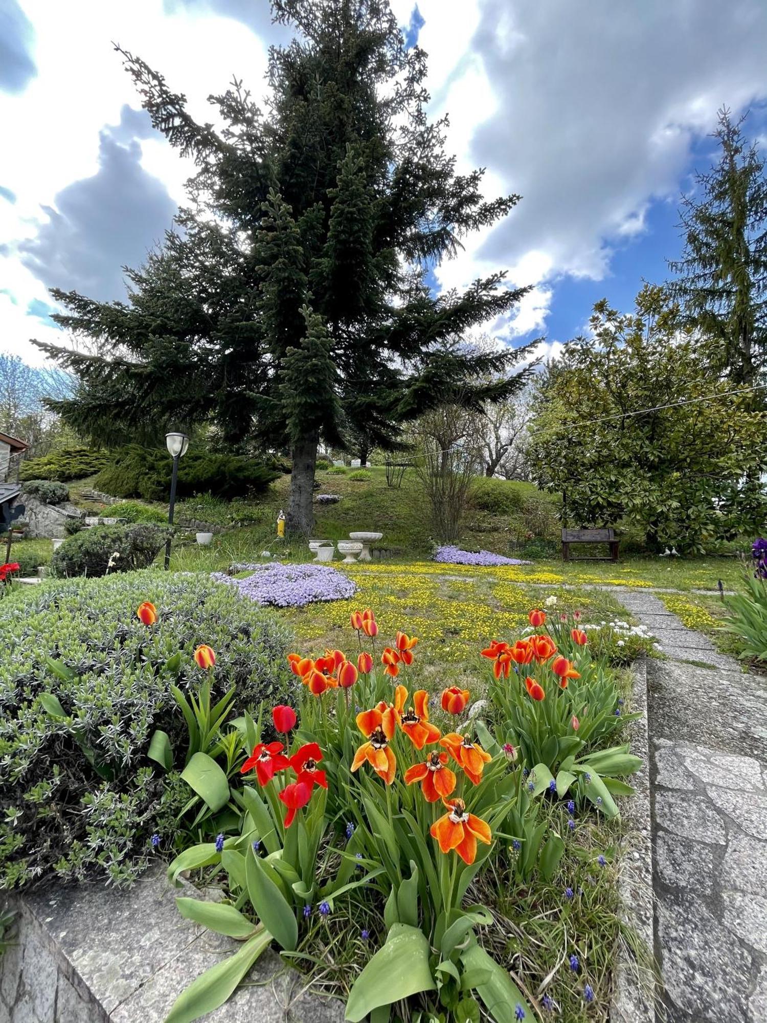 Mazzetti Country House-Vita In Campagna Con Giardino Vimignano-Chiesa Exterior foto
